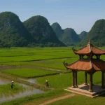 Vietnam en Febrero: entre linternas, cielos despejados y arrozales que esperan